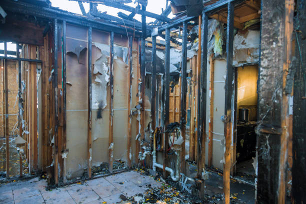 Professional Soot Cleanup technician working in Montrose, VA